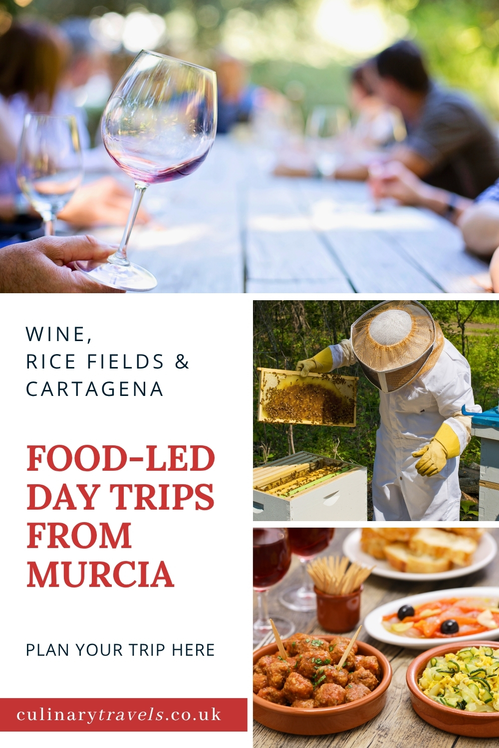 Pinterest pin for food-led day trips from Murcia, featuring wine, rice fields, honey and tapas experiences.